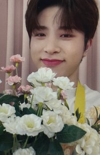 花店 周邊卡 寫真卡