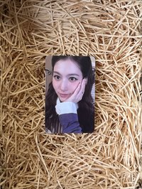 紗