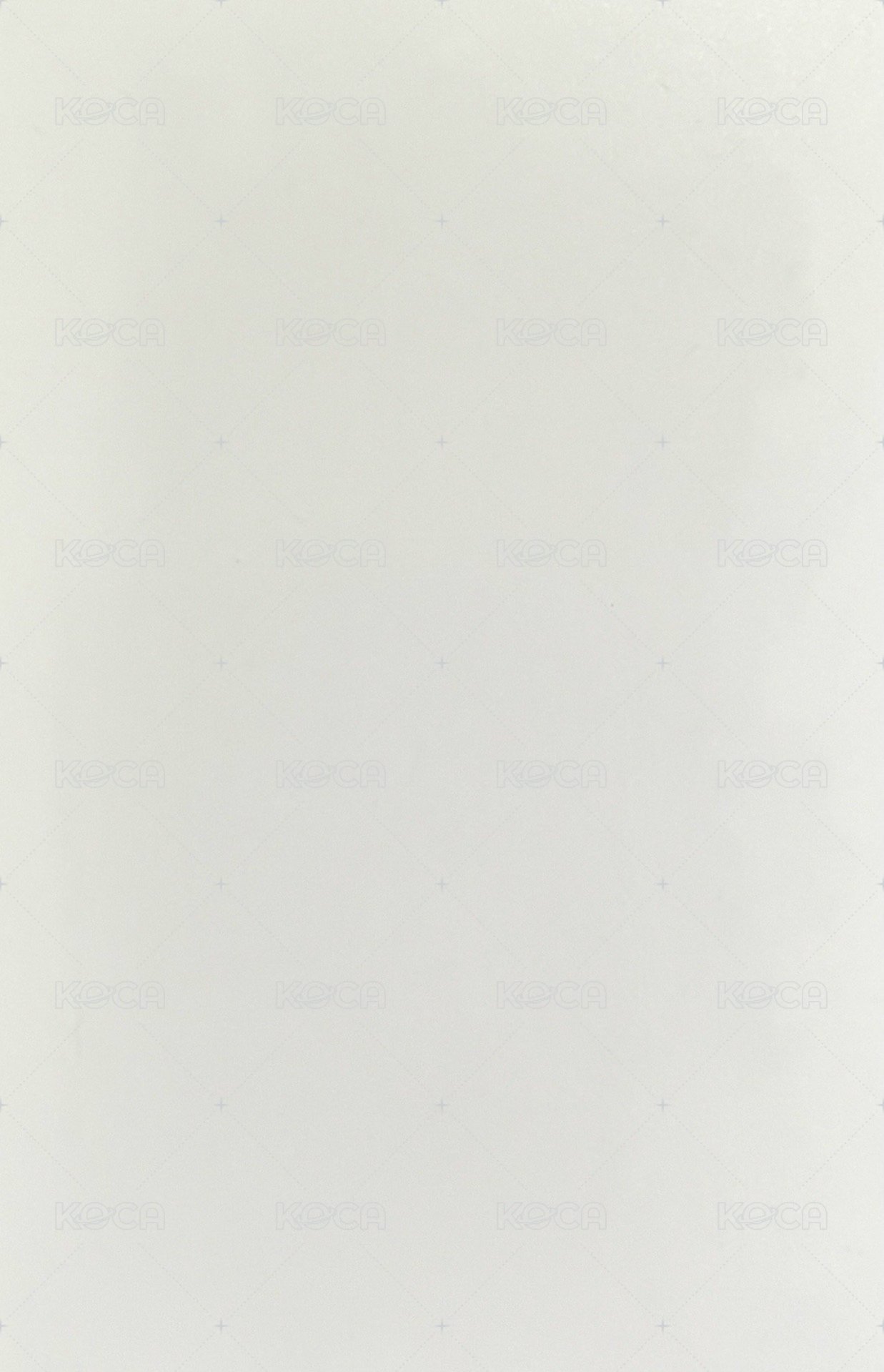 HER 泡泡摩奇 5.0 簽售卡 拍立得 背面