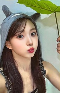 仲夏夜 el 線下 1.0 簽售卡 龍貓