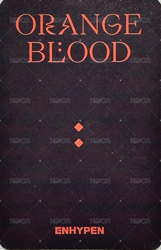 迷五 km蝦皮 3.0 特典卡 豹紋倫 背面