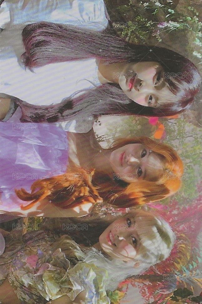 MORE & MORE 專輯卡  正面