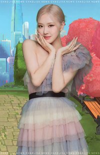 BPTG 專輯卡 reve ver.