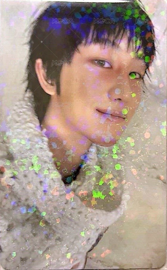 正五 日咖 WVSJP PB預售 特典卡  正面