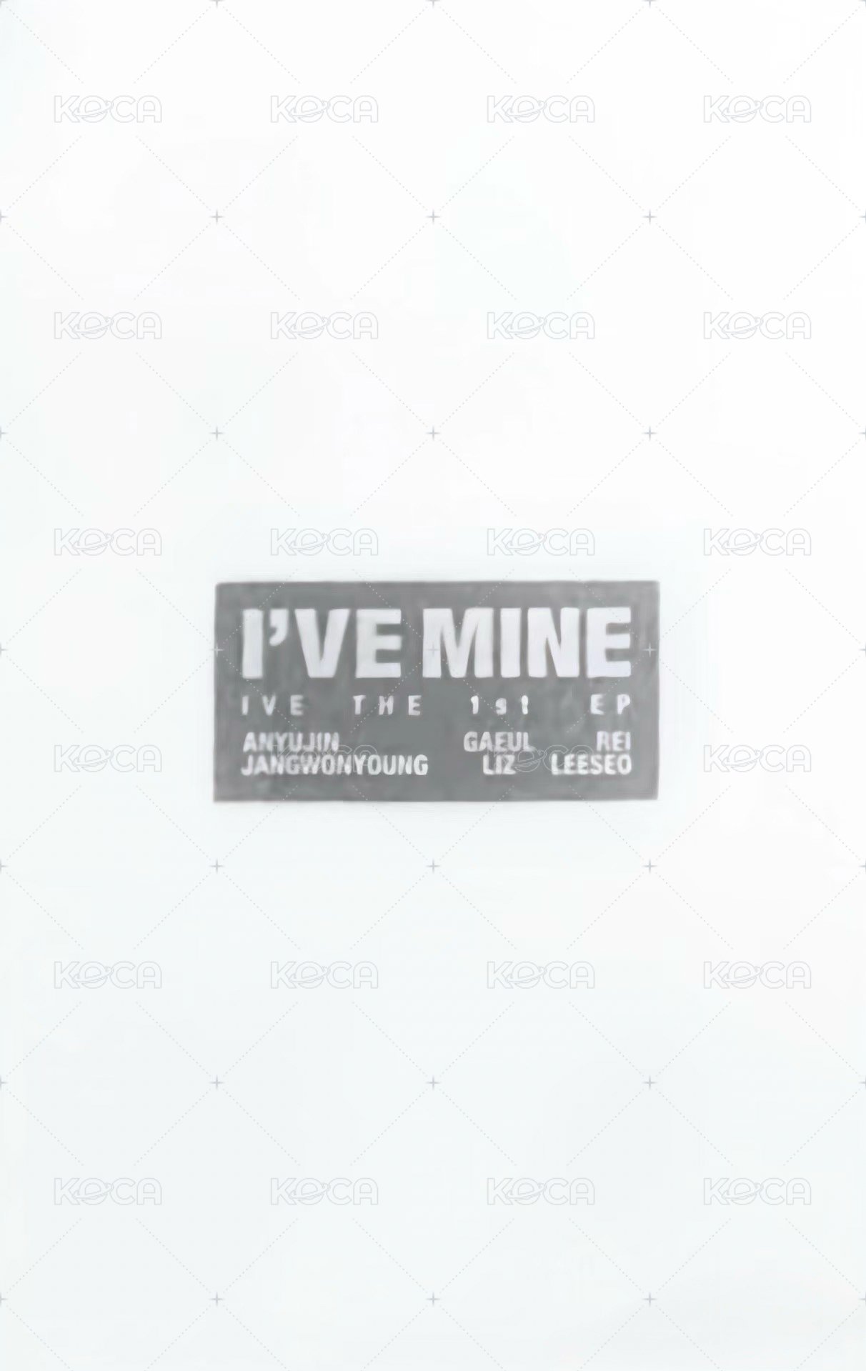 I'VE MINE 打歌卡 2.0 背面