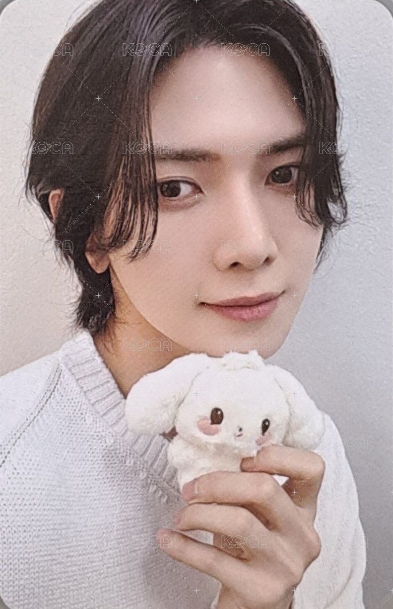 ANITEEZ IN THE CALLING 周邊卡 TINY ANITEEZ PLUSH DOLL 正面