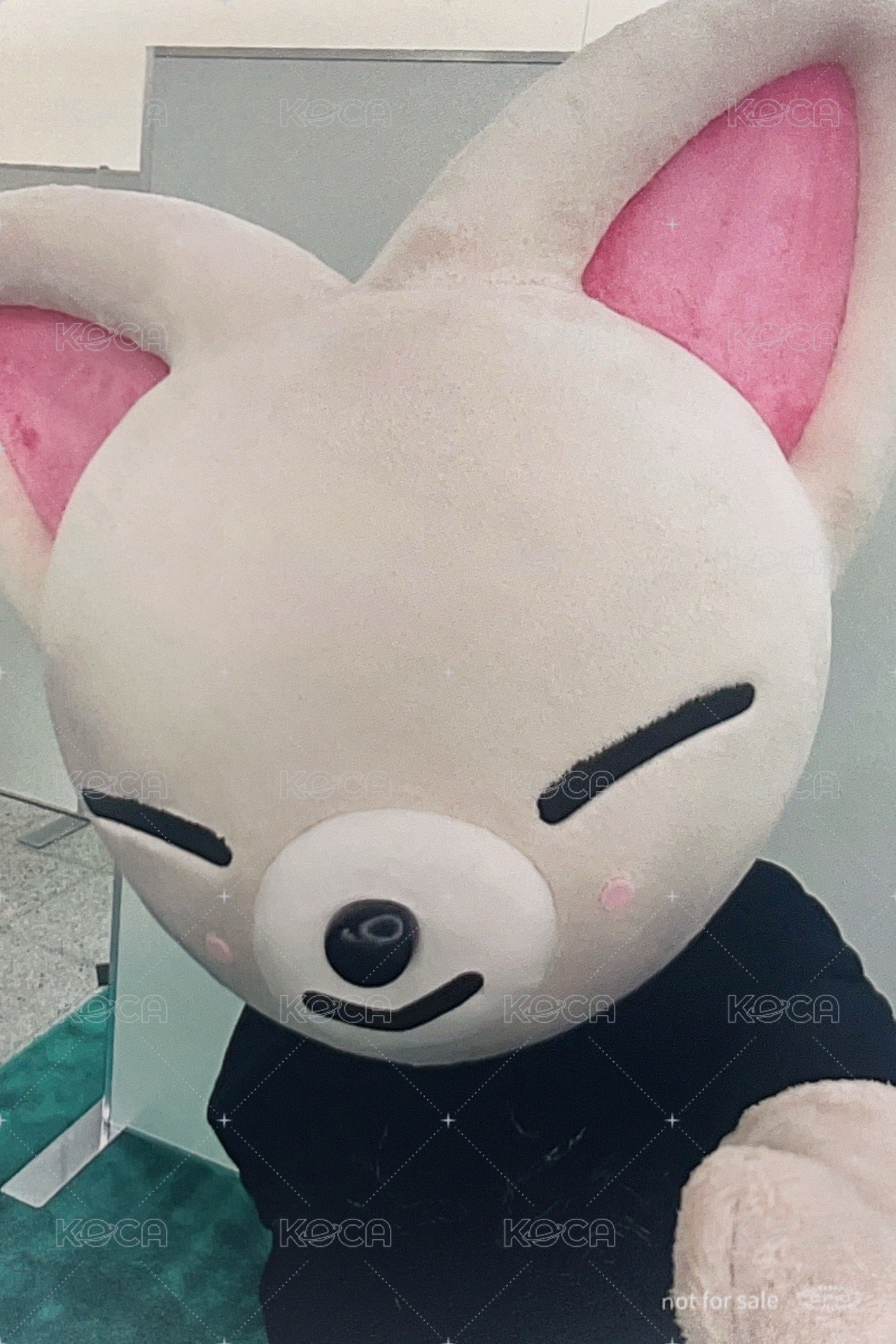 Hollow 塔店 特典卡 靜岡線上限定 背面