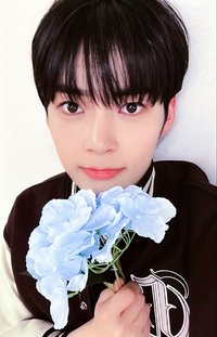 迷三 k4 特典卡 花 ver.