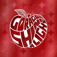 《SHINE A LIGHT》First Live Album