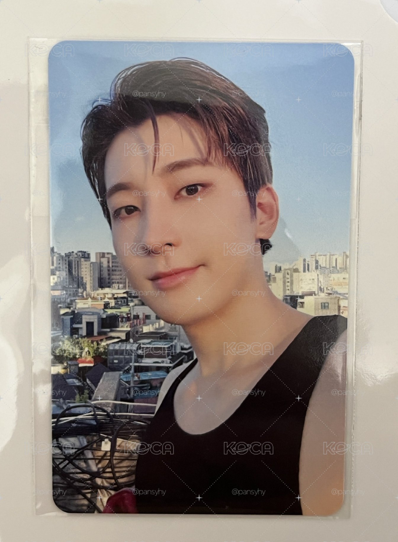 SVT 十週年 教保文庫 LD 圓