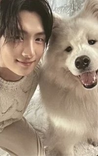 Last Bell 專輯卡 單封