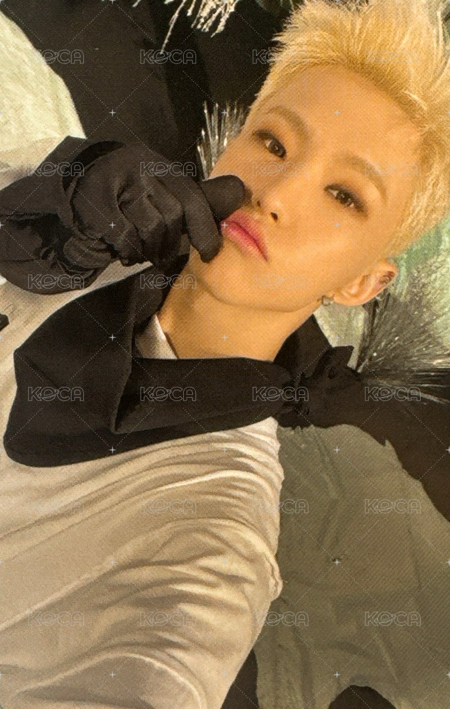 正四後續 專輯卡  正面