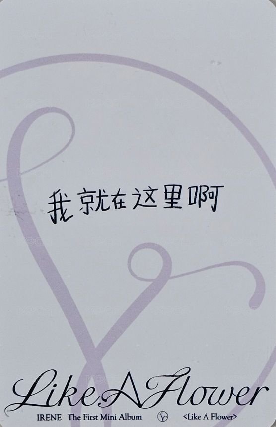 Like A Flower 泡泡摩奇 上海線下 簽售卡  背面