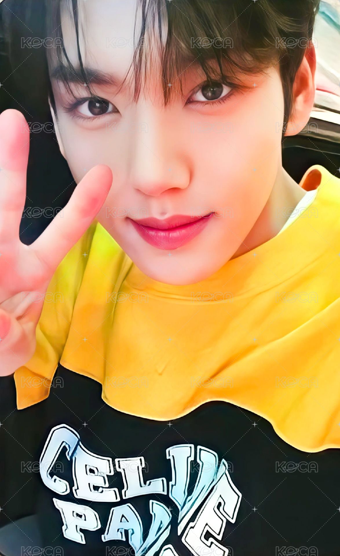 迷一 am 特典卡  正面