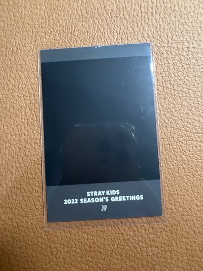 2022 SG 抱熊拍立得