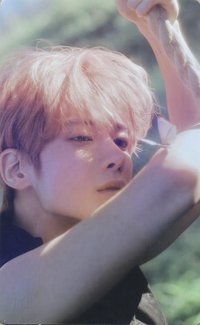 迷五 wvs pb版 特典卡 