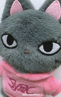 二巡 周邊卡 首爾安可場周 娃衣卡吉