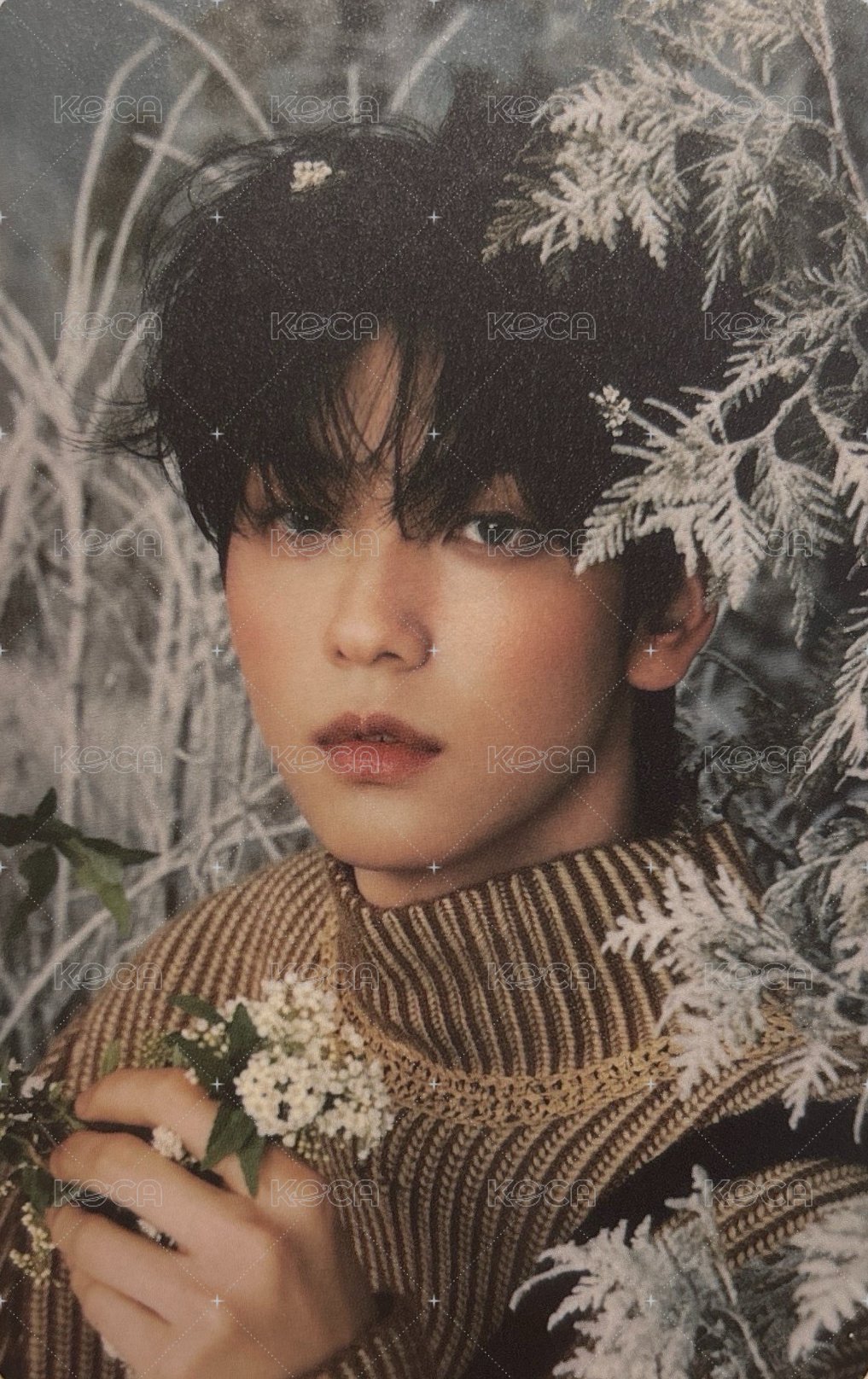 CHIKAI 誓い 塔店 特典卡  正面