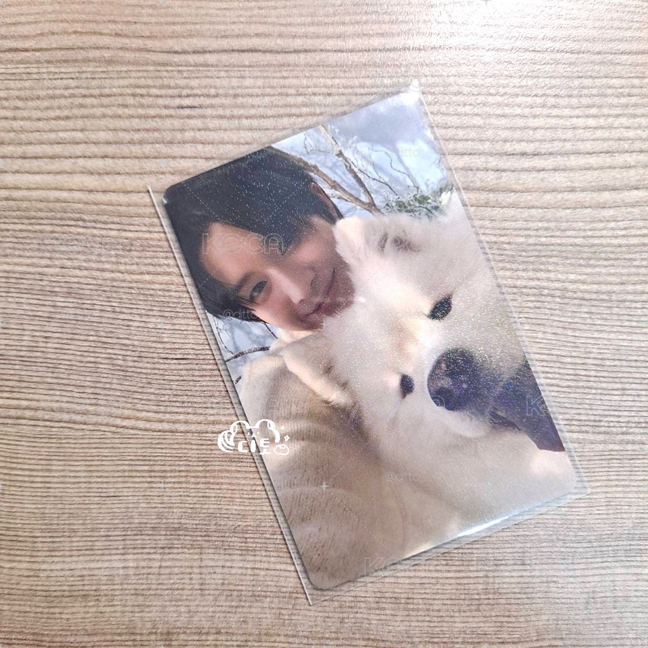 為什麼有兩隻小狗啊🐕！