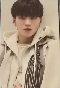 Tree Ring 專輯卡 布料卡