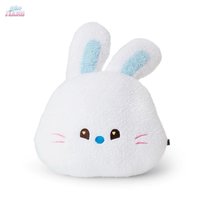 LINE FRIENDS快閃 抱枕 