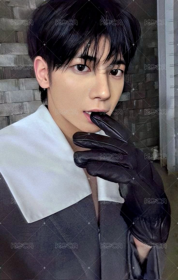 迷七 專輯卡 Knight版 正面