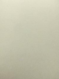 花王抽選貼紙潾