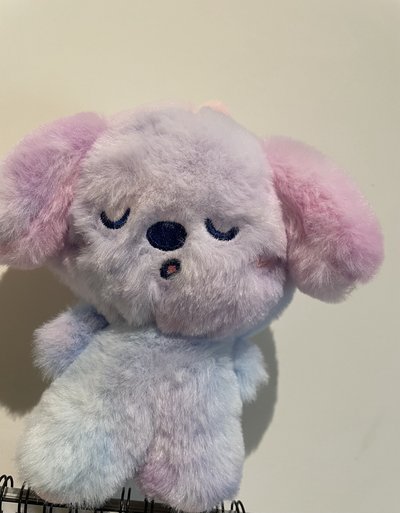 長腿狗龍 wvs娃專 空專