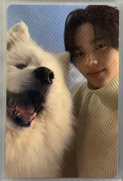 申惟Last Bell日咖單封特典