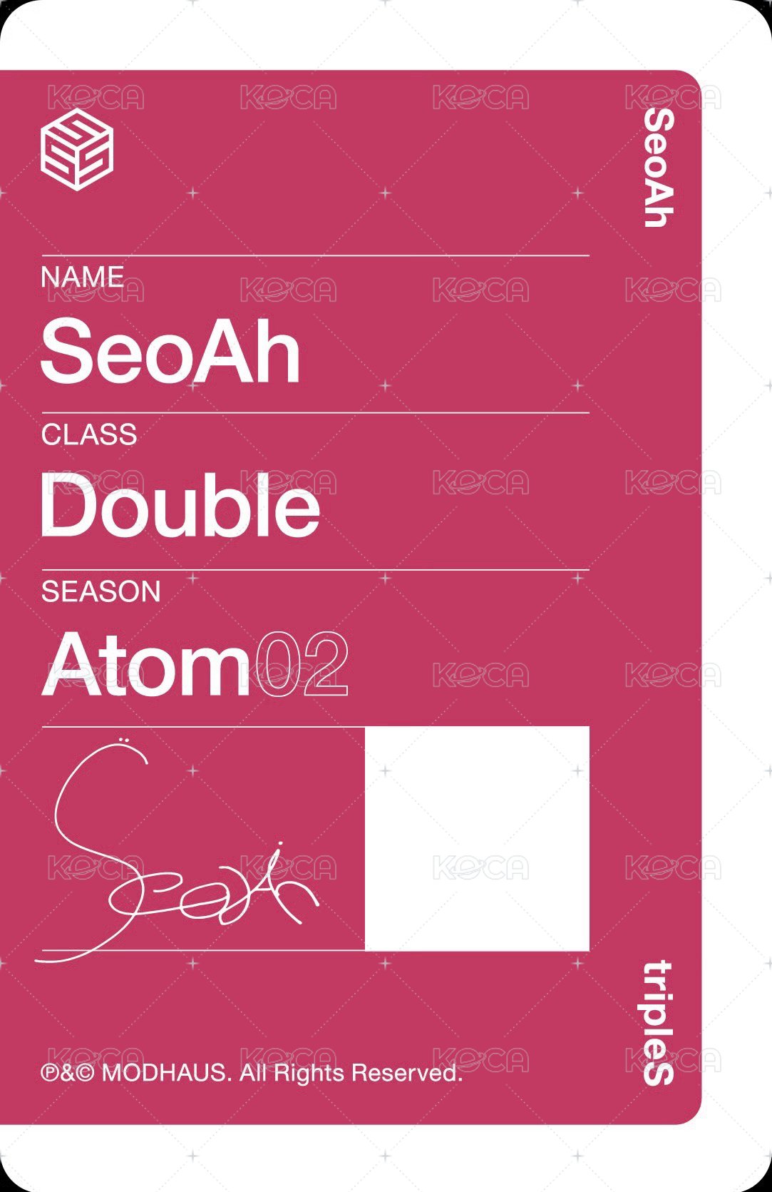 ALIVE25 入場卡 / 場限卡  背面