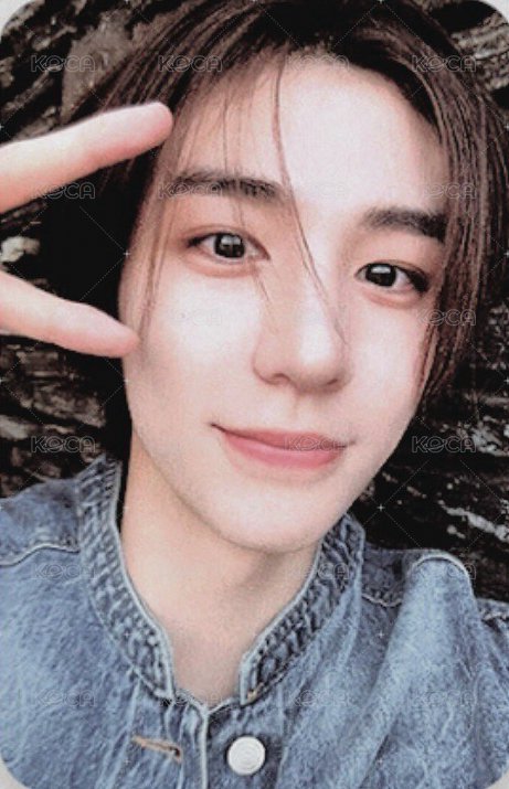 24年曆 wvs 年曆卡 固配卡 正面