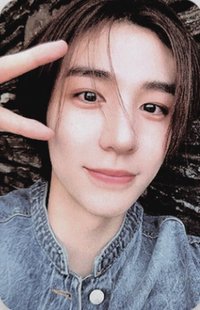 24年曆 wvs 年曆卡 固配卡