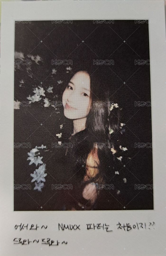 仲夏夜 專輯卡 普版 Forest 拍立得友 正面