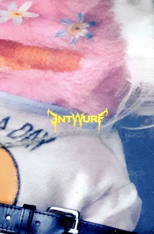 ENTWURF 專輯卡 限量版 變化卡 背面