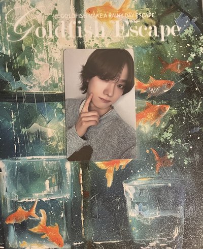 BOYLIFE WVS日咖特別禮