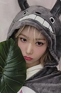 迷四 el 線下1.0 簽售卡 龍貓飛