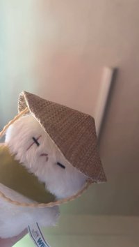 傾家蕩產養貓貓🐱