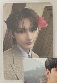 俊 迷12克拉盤隨機卡