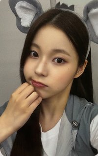 仲夏夜 sr 2.0 簽售卡 大象圭