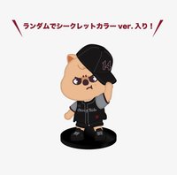 3rd 世巡 模型 靜岡場周