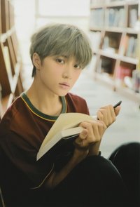 正一 wvs 周邊卡 