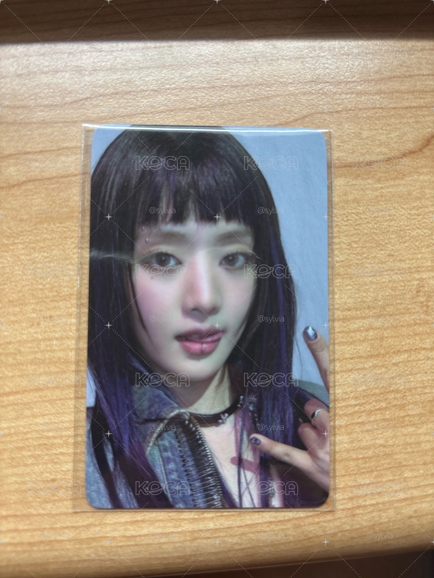 we are WVS特典