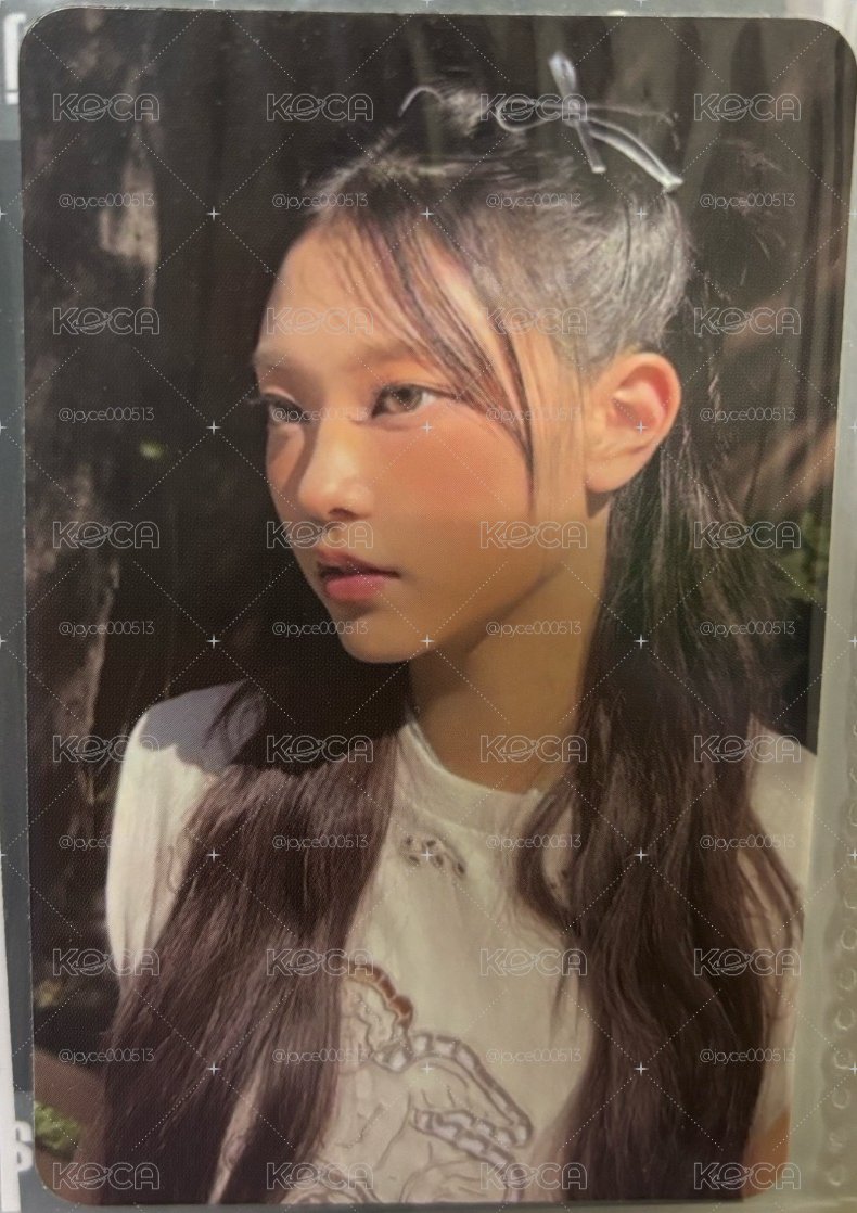 貓年曆卡