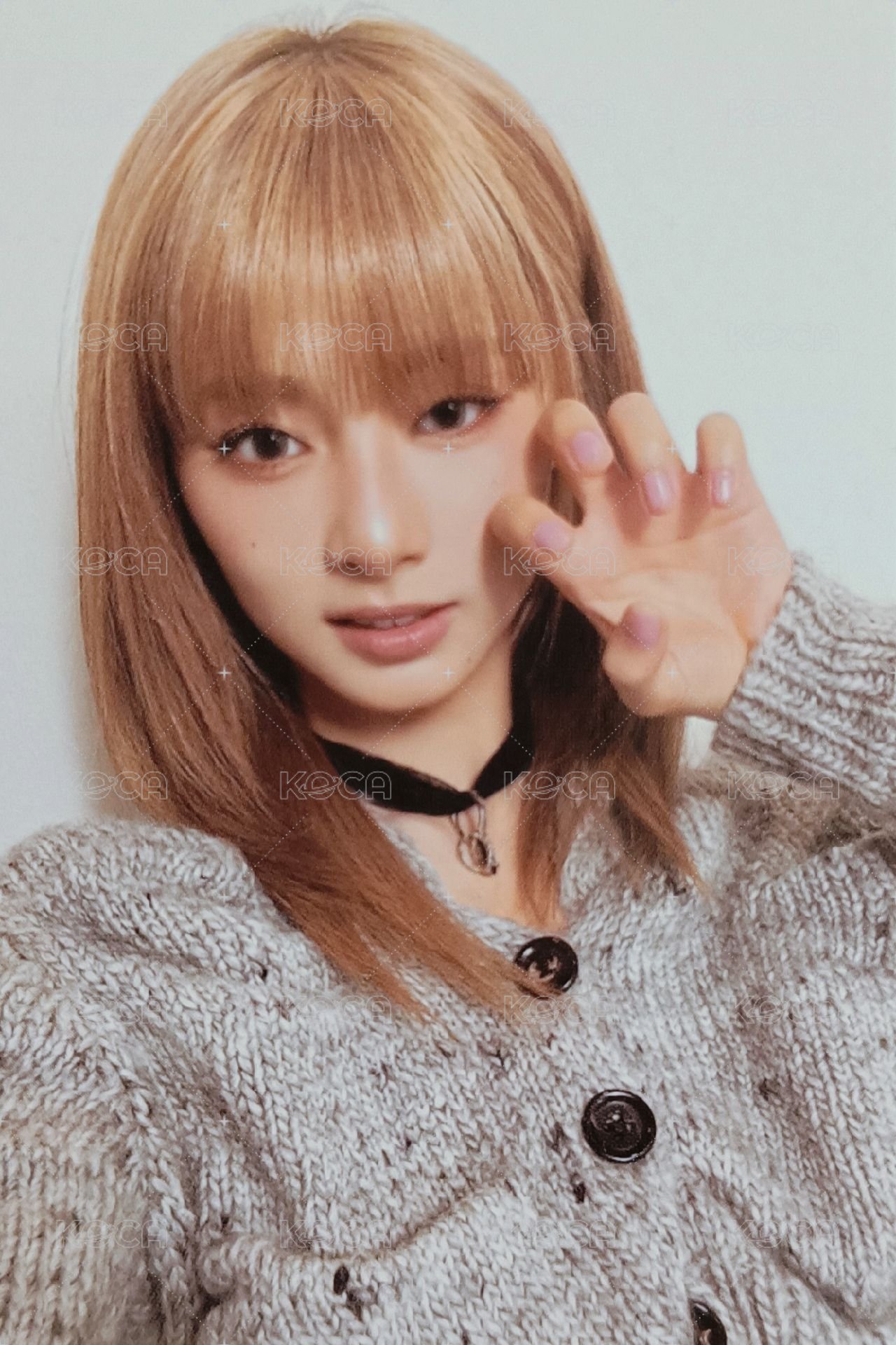 STRATEGY 專輯卡 貓爪瑜 正面