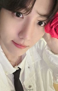 bolo5 am 2.0 幸運卡 