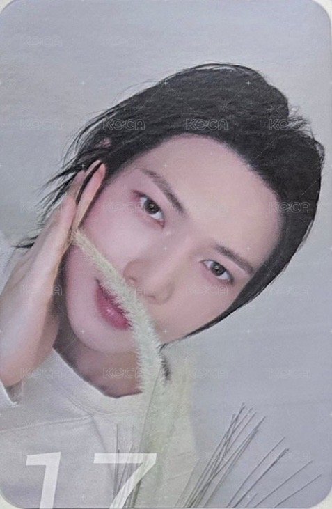 GH3 dmm 特典卡 狗尾草ver. 背面