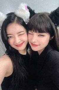 CHESHIRE 專輯卡 雙人卡