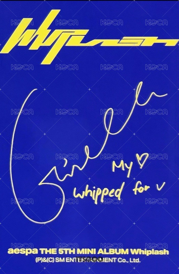 Whiplash target 專輯卡 target吉專卡 背面