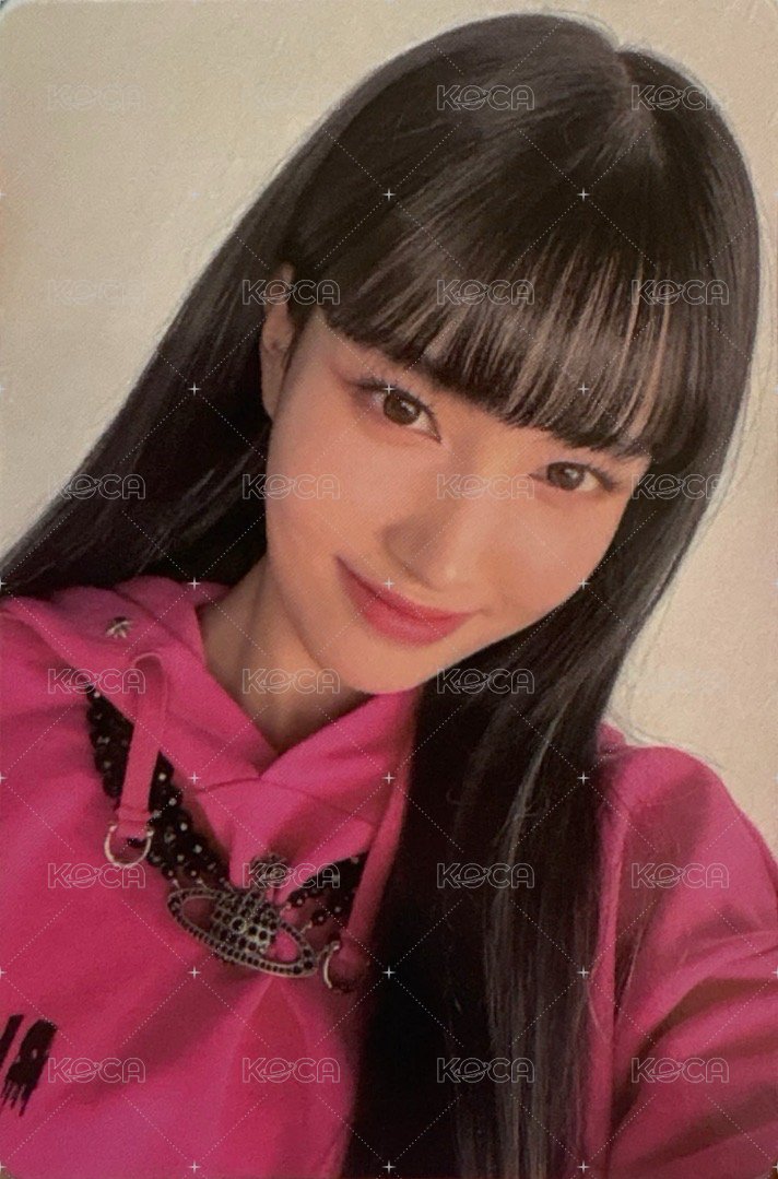 Teddy Bear 專輯卡 專卡 潤 正面