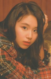 The Roses 年曆卡 
